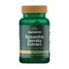 Boswellia 5-Loxin Swanson, 125 mg (60 capsule)